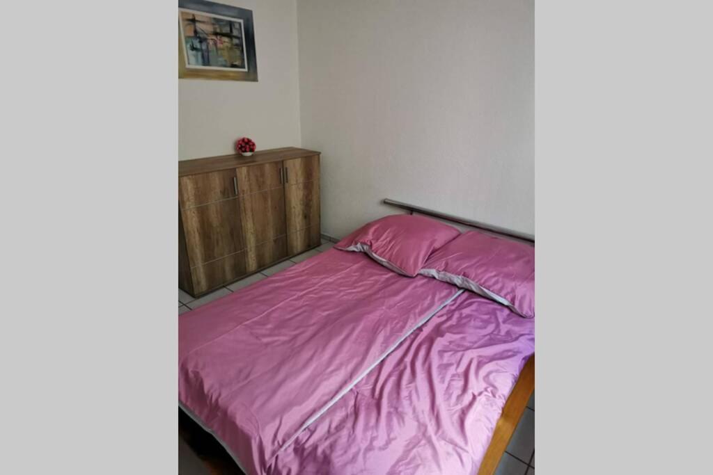 Ferienwohnung In Singen Am Hohentwiel - Seenah Exterior foto
