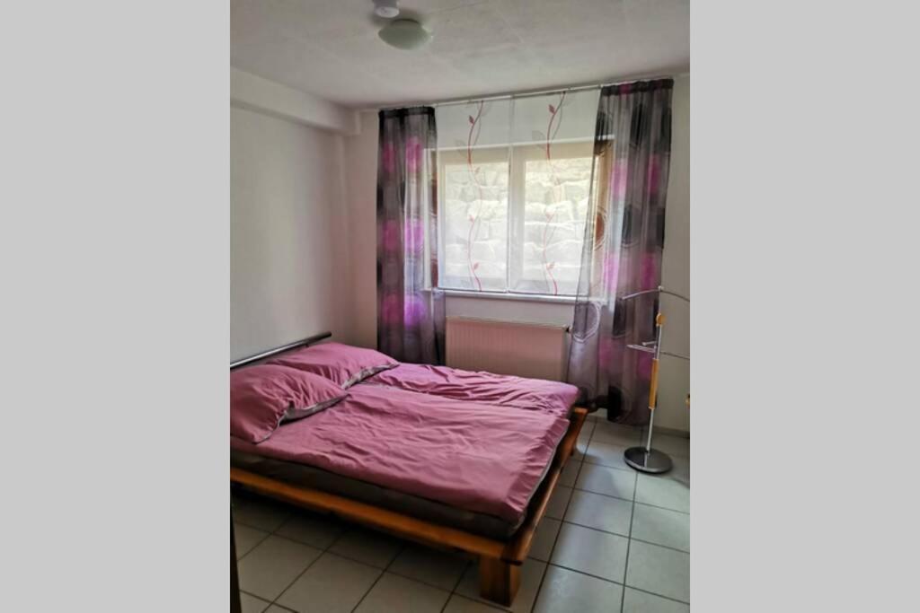 Ferienwohnung In Singen Am Hohentwiel - Seenah Exterior foto